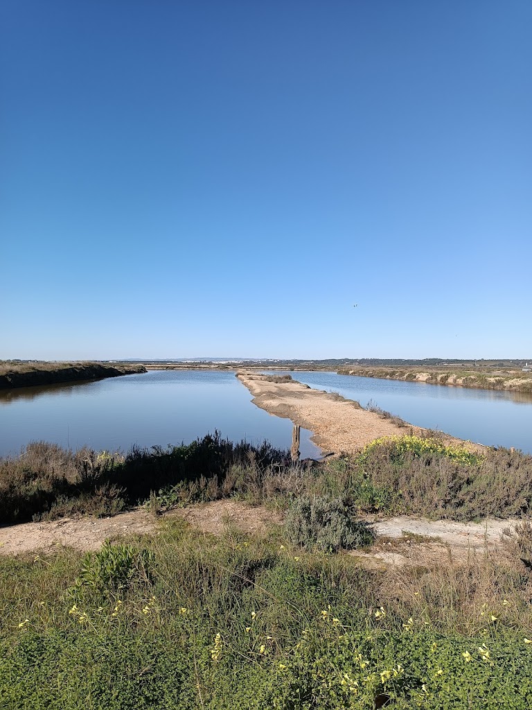 Marismas de Isla Cristina