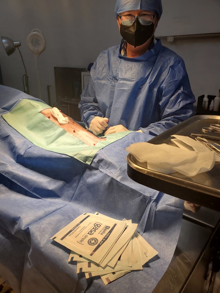 Animal Servmedic — Del propietario