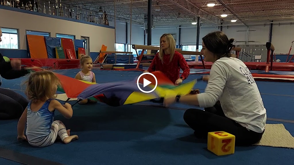  Euro Stars Gymnastics