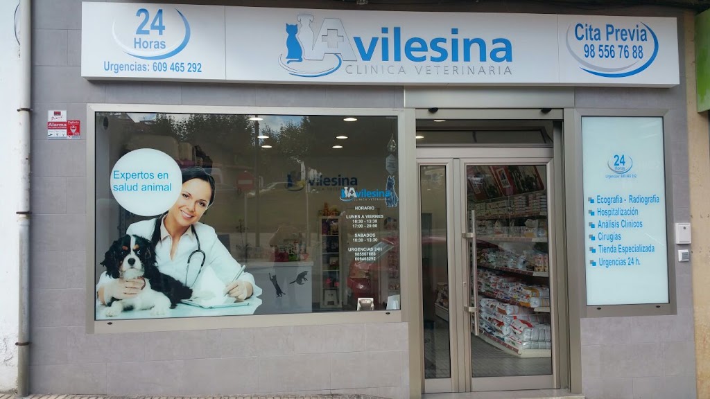 Clinica Veterinaria Avilesina