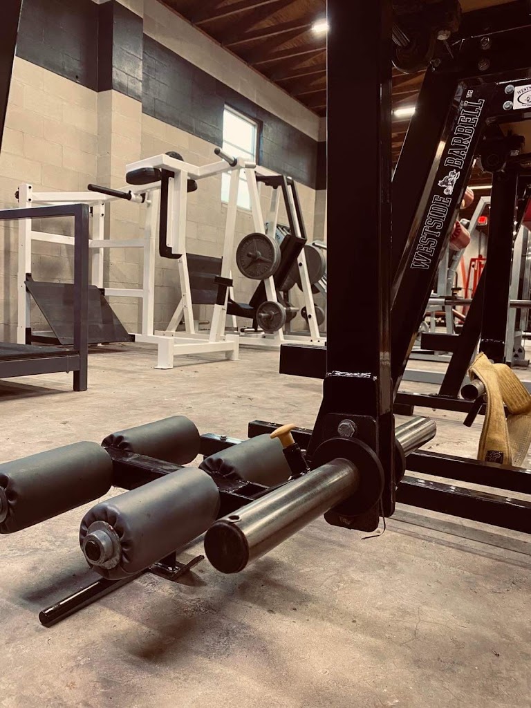  Fortune Iron Sports Performance