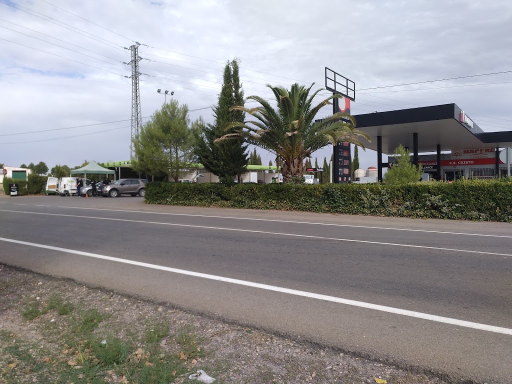 COMBUSTIBLES SAMAR S.L. — Del propietario