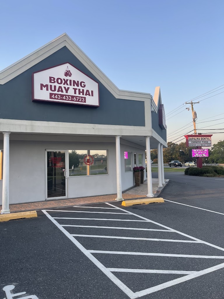  Hard Work 365 Boxing Fitness