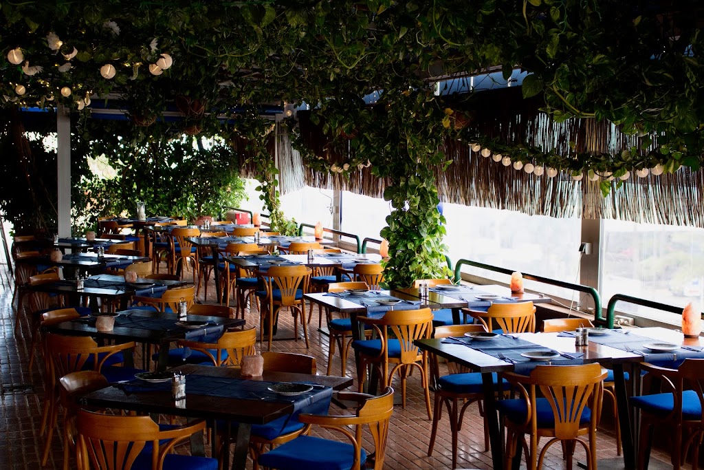 Addio Mare Mediterraneo