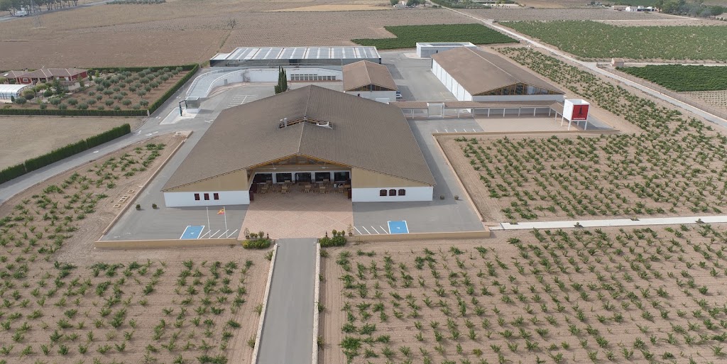 Bodegas Barahonda — Del propietario