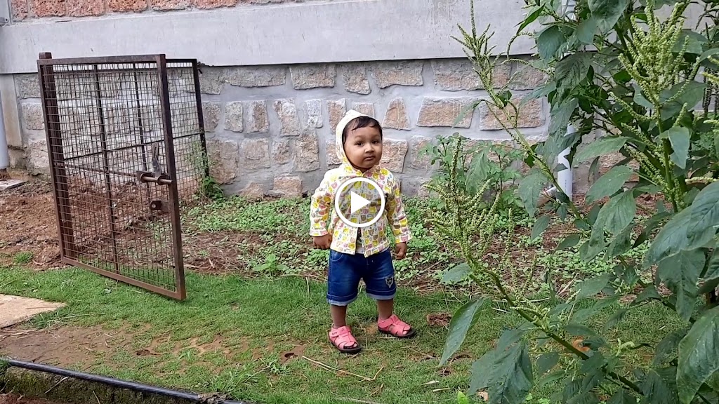 Videos