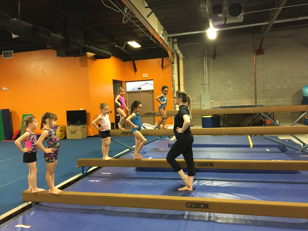  Fortis Gymnastics Academy