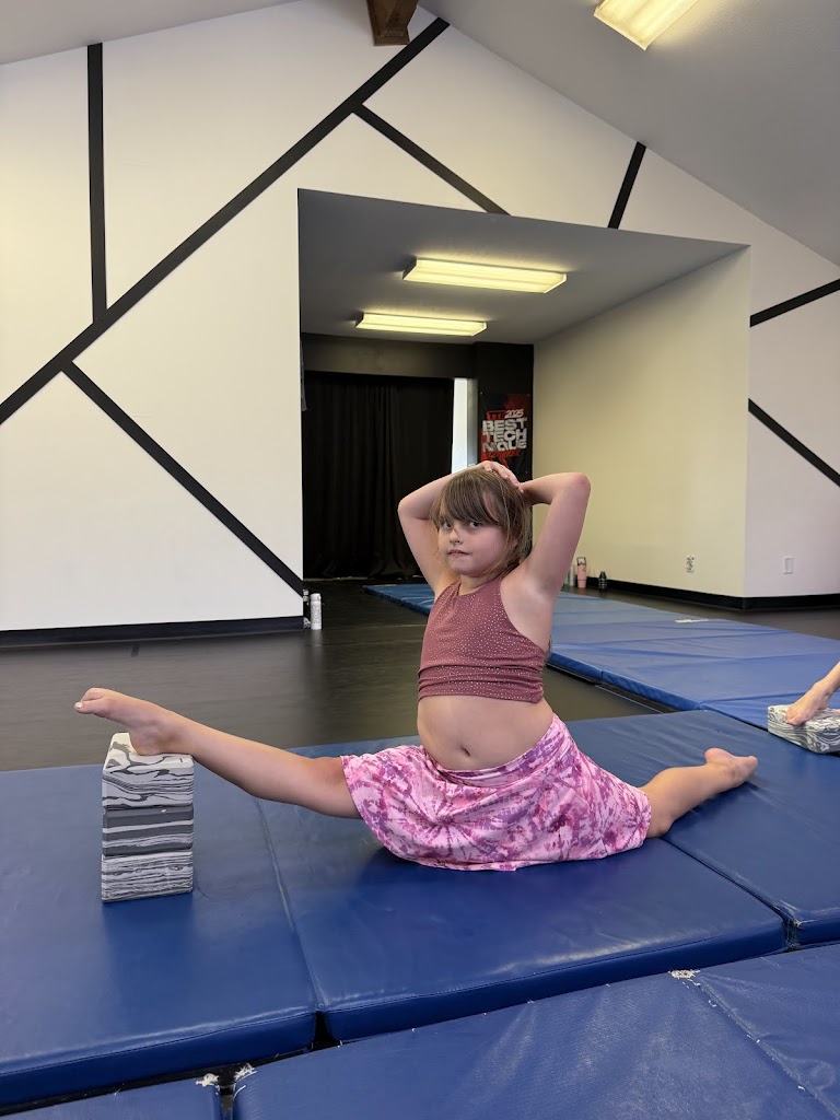  The Vibe Dance Company