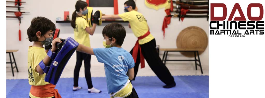 DAO Traditional Chinese Martial Arts