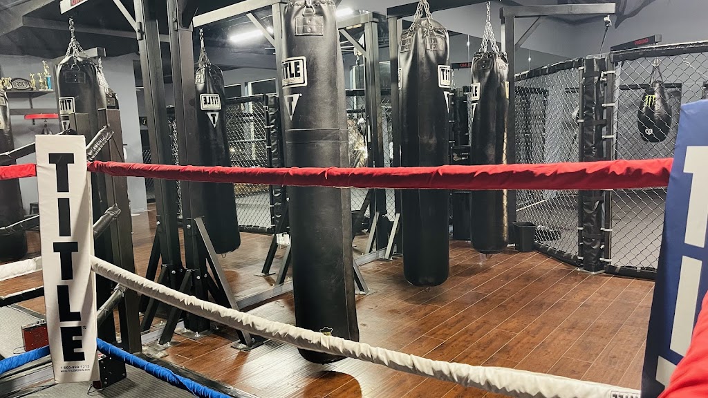  IB MMA Mixed Martial Arts