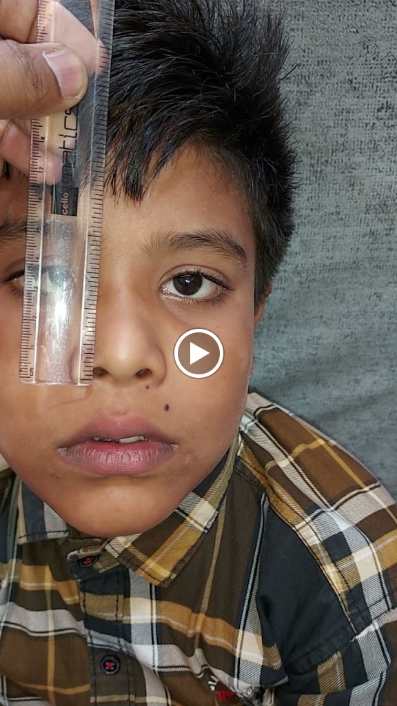 Videos