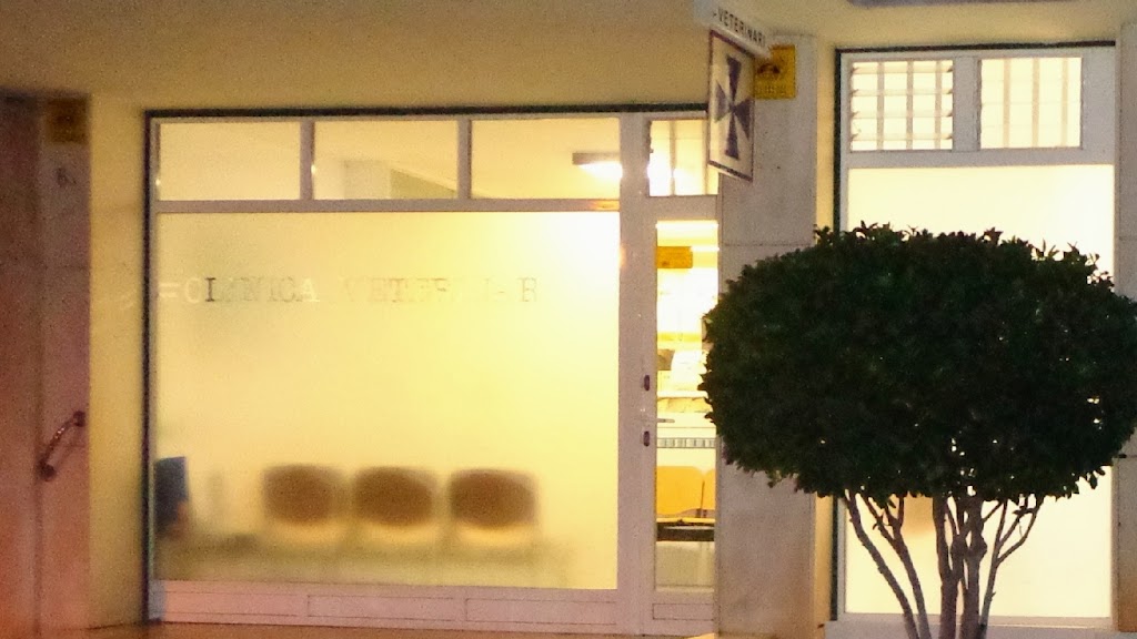 Clinica Veterinaria Rafael Coll — Del propietario