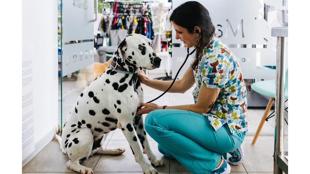 MAVET Centro Veterinario