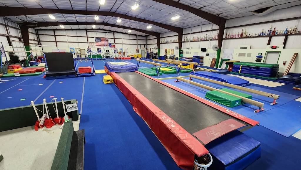  TAG's World Gymnastics