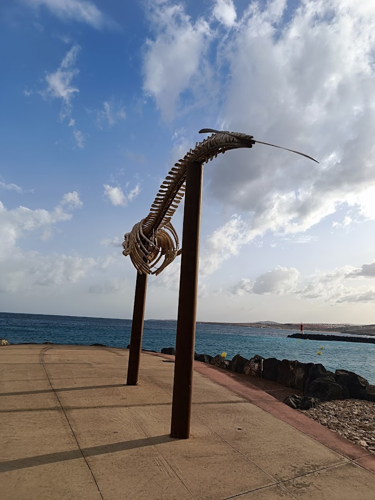 Letras Puerto del Rosario