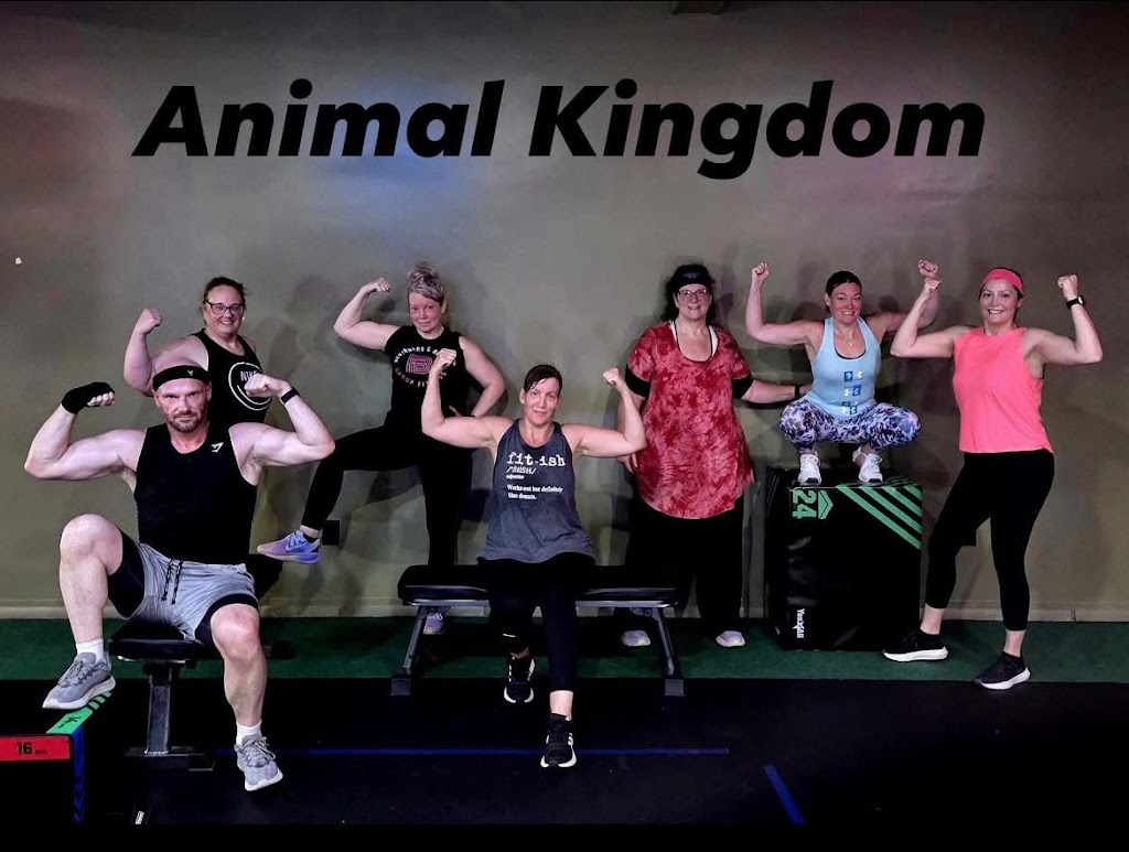  Beginners & Beyond Group Fitness