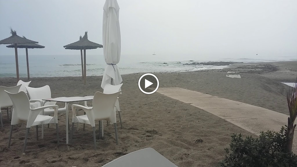 Wazza Beach Bar — Videos