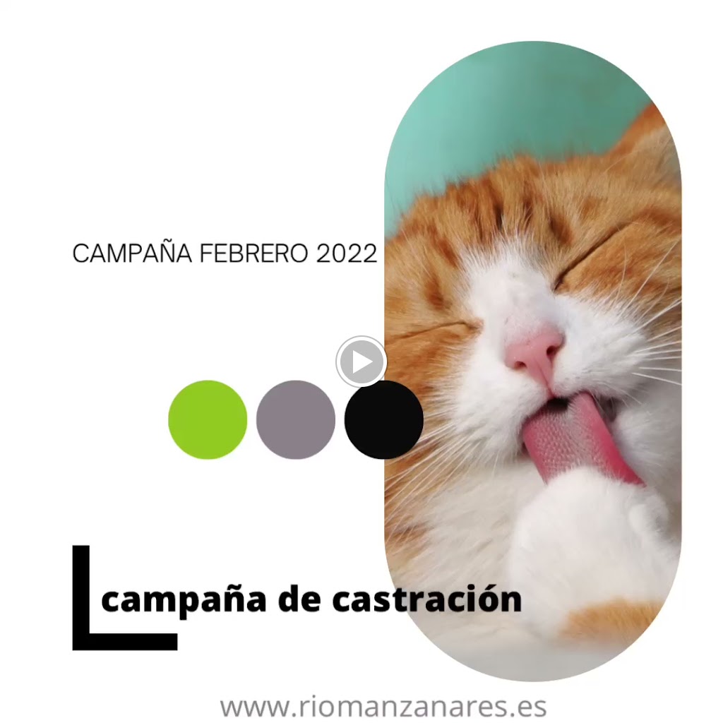 Clinica Veterinaria Rio Manzanares — Videos