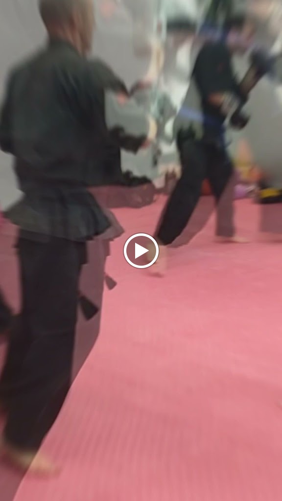 Kenpo Kenjukabo Self Defense Academia Chuan-Fa — Arte marcial