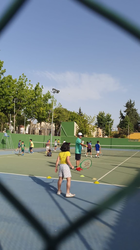 Club de tenis y padel la estacion