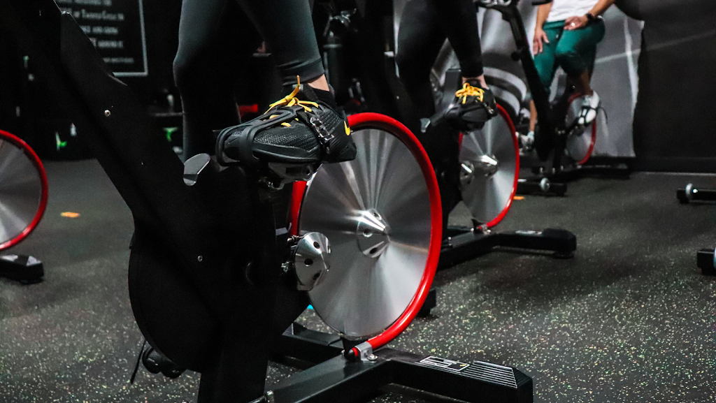  Twisted Cycle Auburn