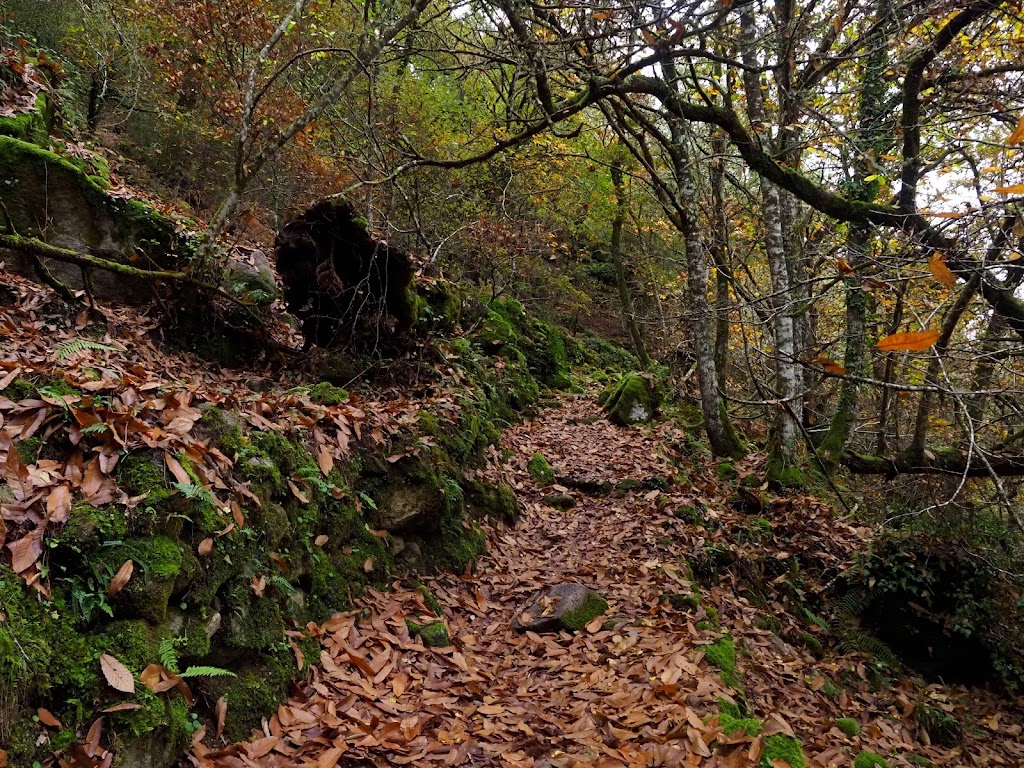 Ruta San Xoan de Cachon