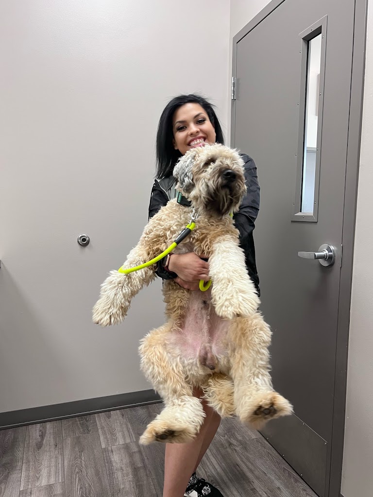 Animal hospital in Lehi