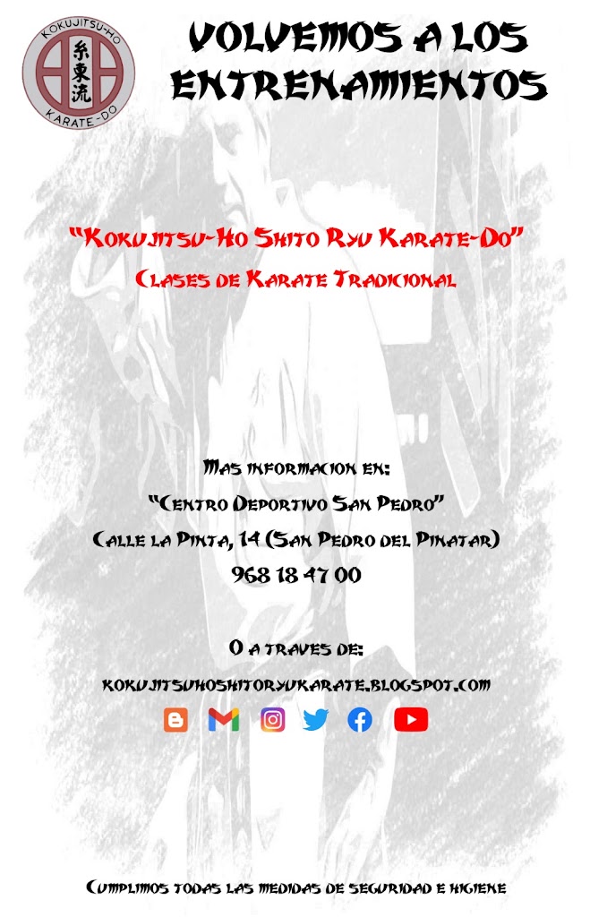 Kokujitsu-Ho Shito Ryu Karate — Del propietario