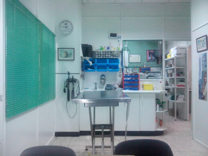 Clinica veterinaria Begona — Del propietario