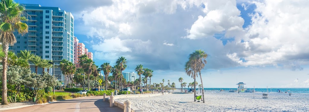 Clearwater Web Design