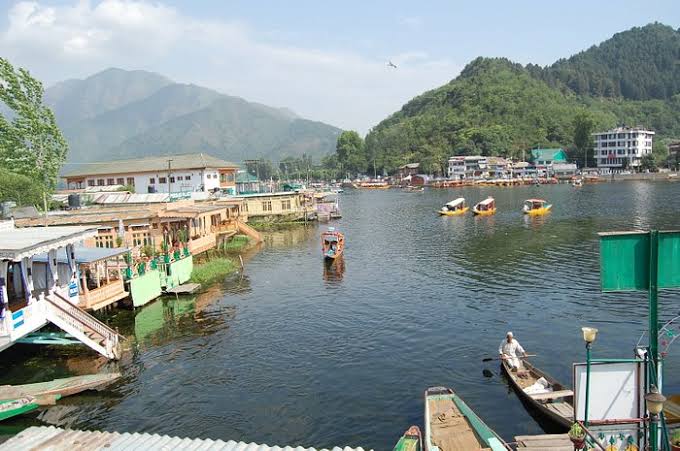 Hotel New Green View Srinagar Ghulam