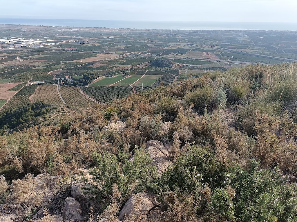 Pico de Els Corbs