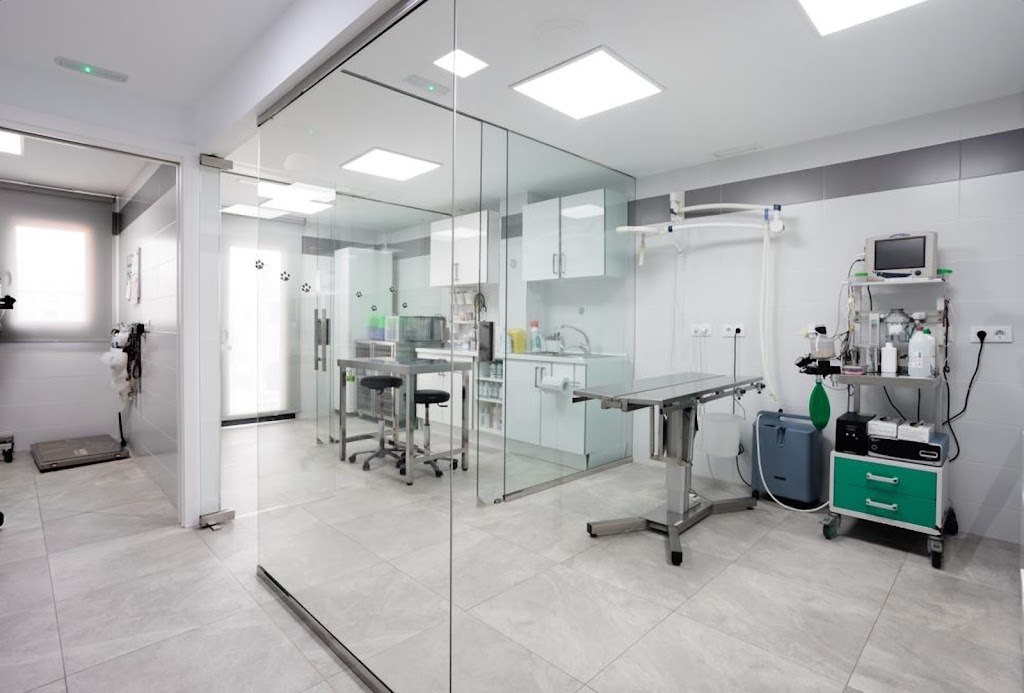 Clinica Veterinaria Quirino — Del propietario
