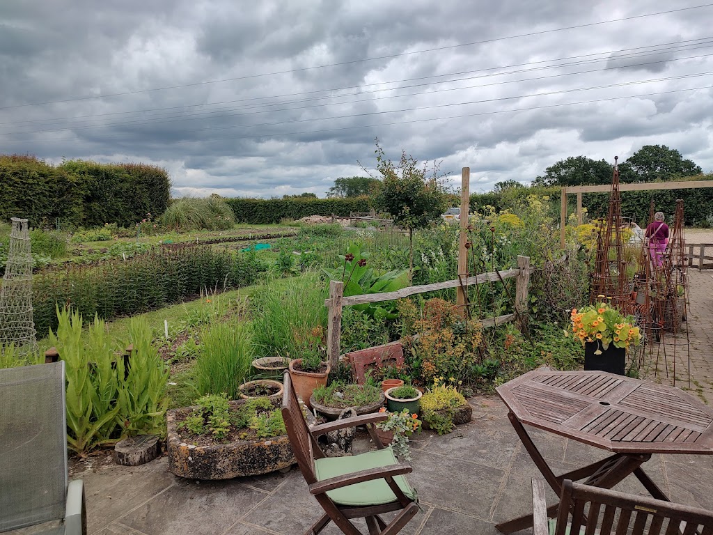 Pitfield Barn Cut Flower Farm & Studio
