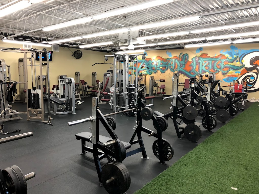  Absolute Fitness Personal Training