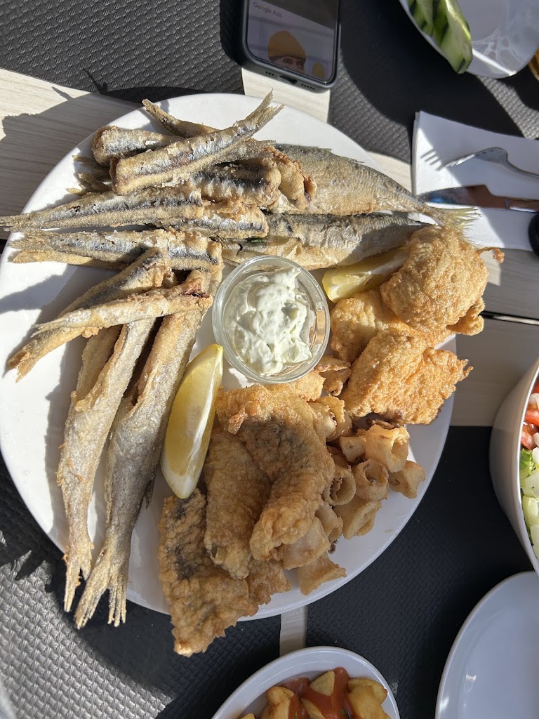 Tierra y Mar — Mas recientes