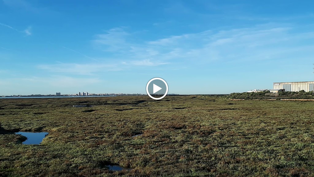 Ruta Turistica , Puerto Real — Videos