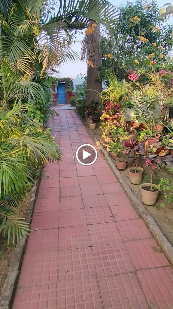 Videos