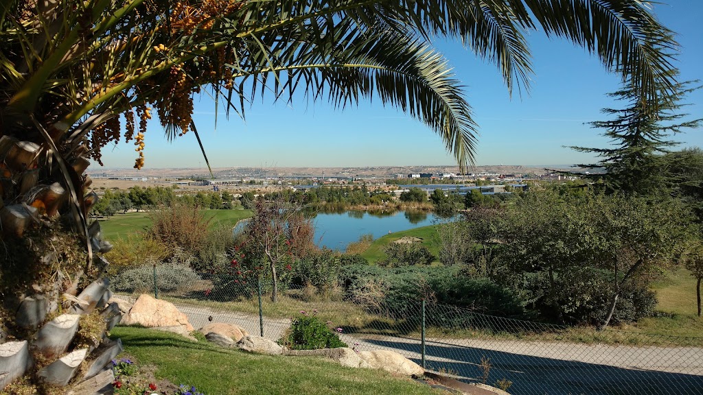 Club de Tenis y Padel Olivar de la Hinojosa