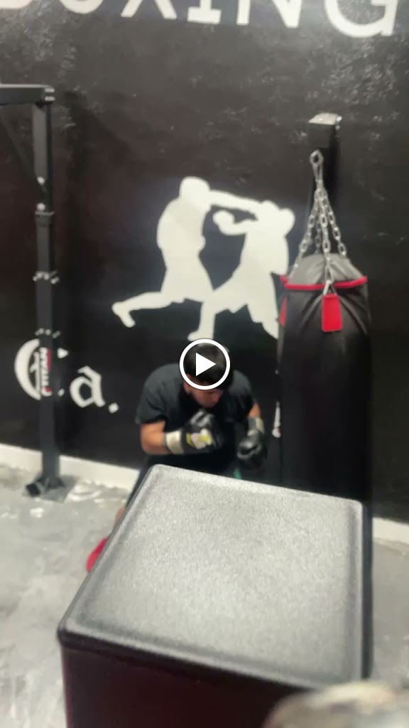  Tortoise Shell Boxing