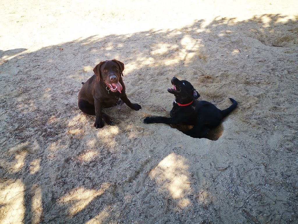 Fundacion ONCE Perros Guia