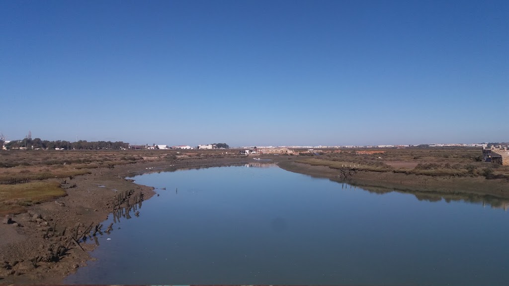 Sendero Puerto Real - San Fernando