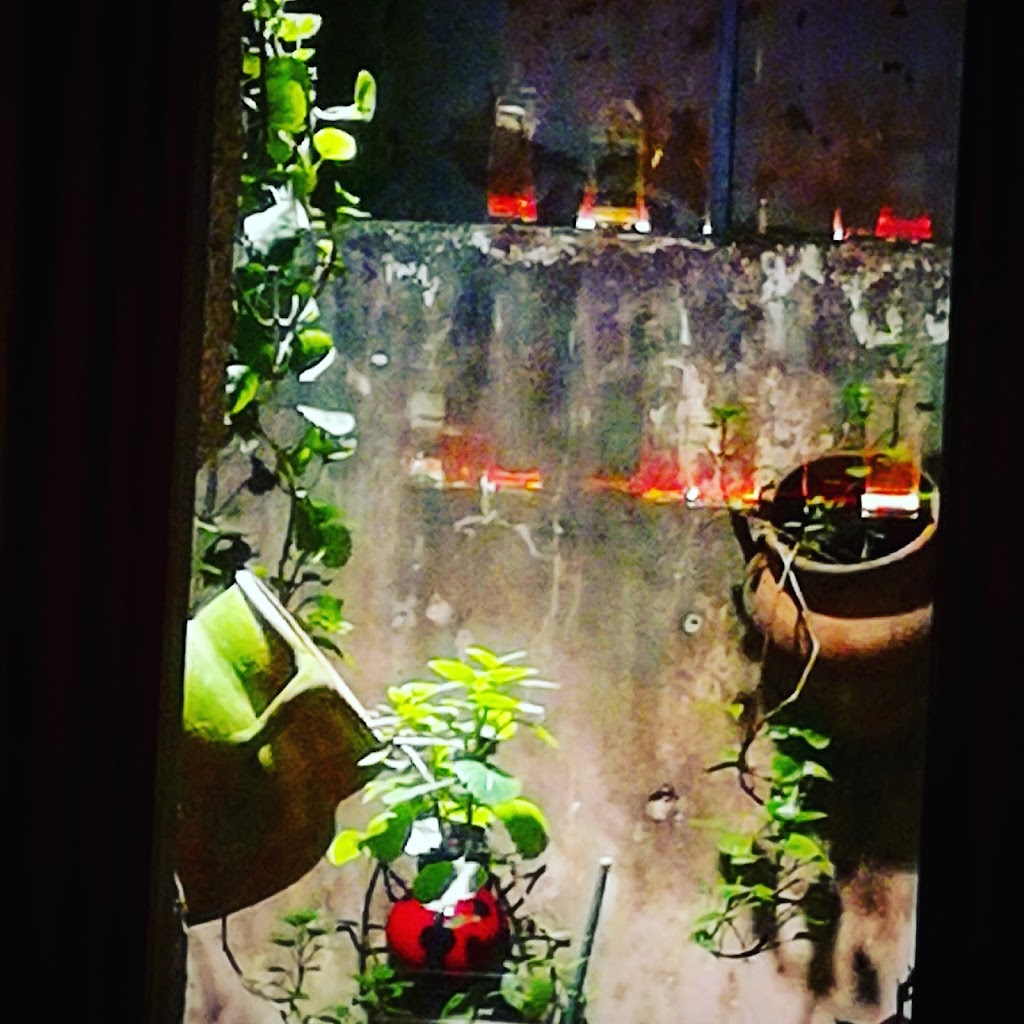 La Rosa Negra cafe-bar — Del propietario