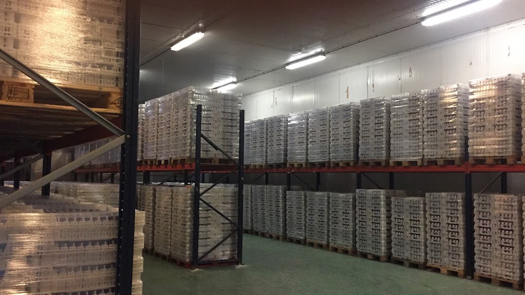 Picking Del Mediterrani, S.L