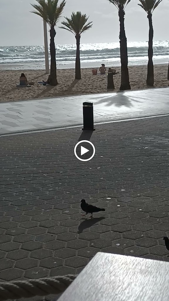 Bulldog Beach Benidorm — Videos