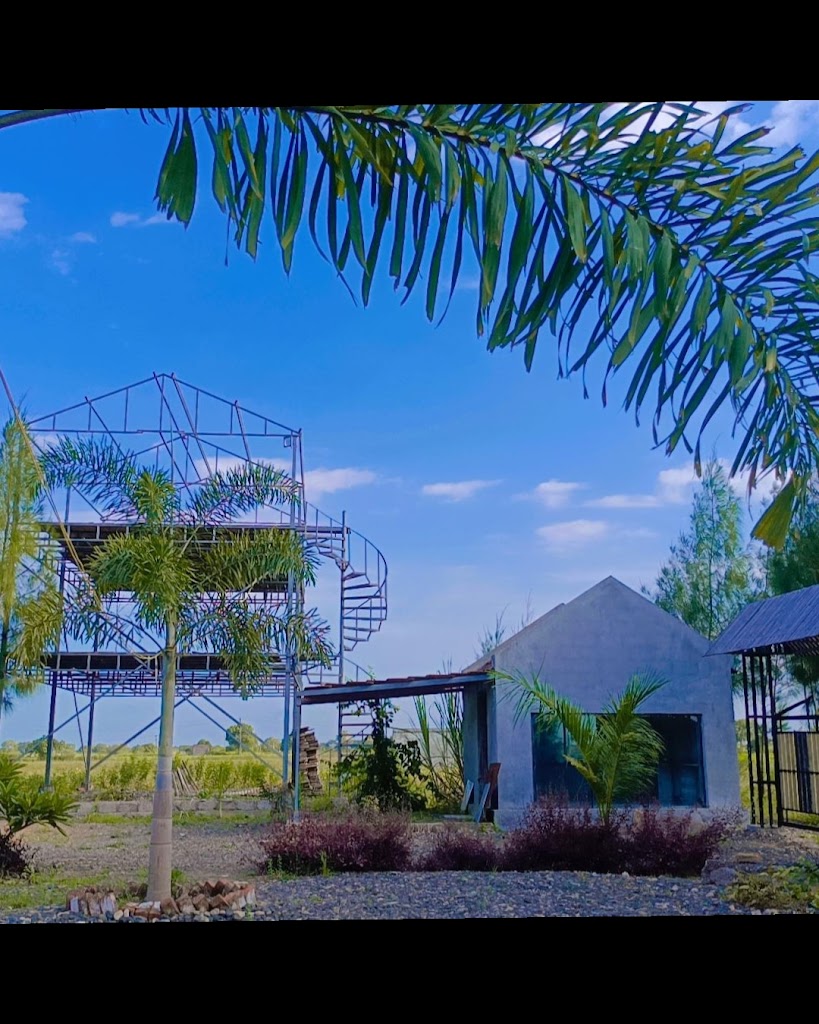 Black Hotel And Resort