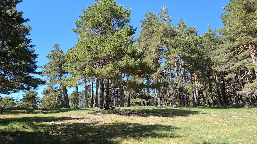Collado del Rio Peces