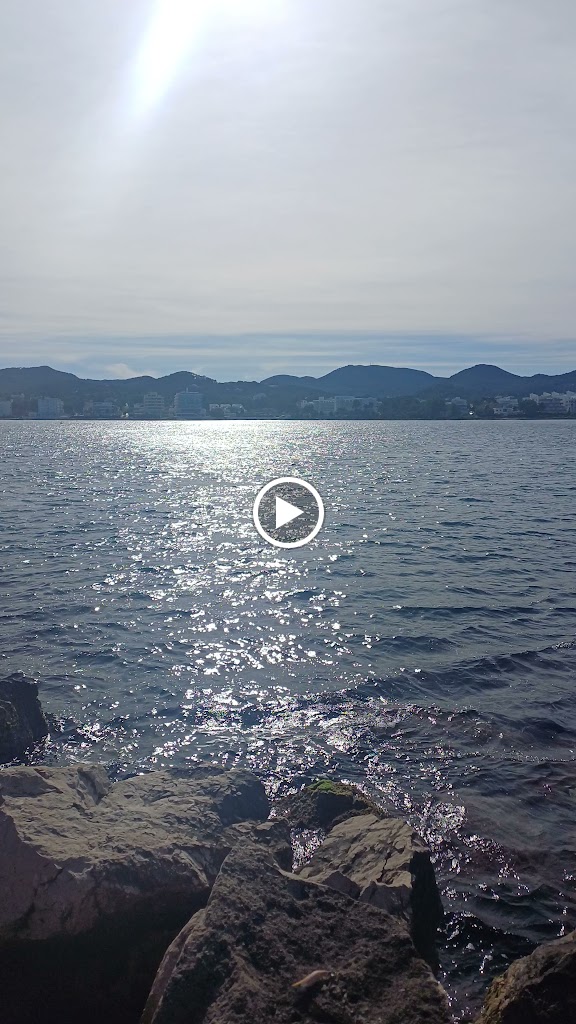 gasolinera Repsol — Videos