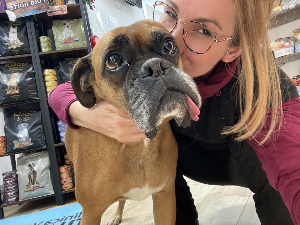 Tu Dogtora Clinica Veterinaria — Del propietario