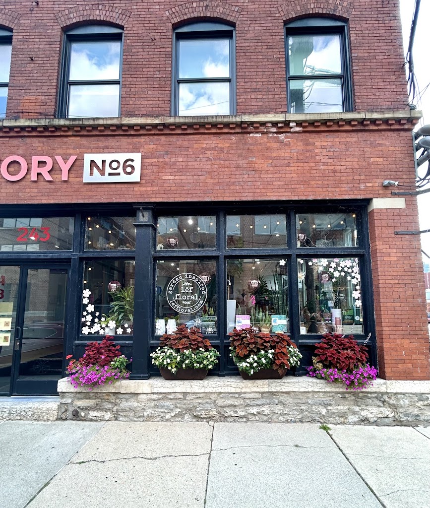 lef floral & botanical